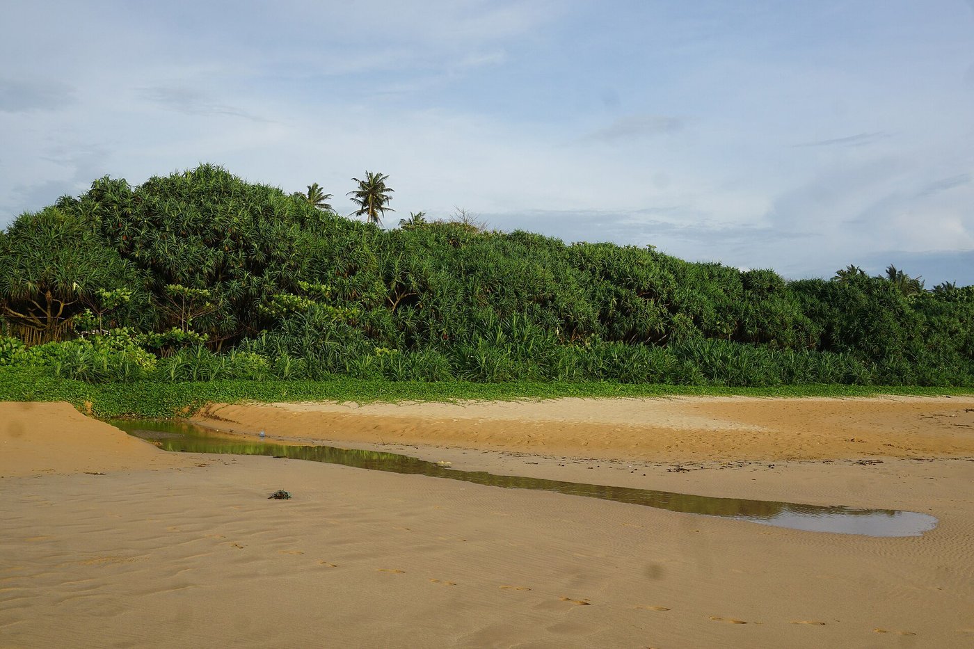 Golden sand beach at Bentota on Sri Lanka's west coast